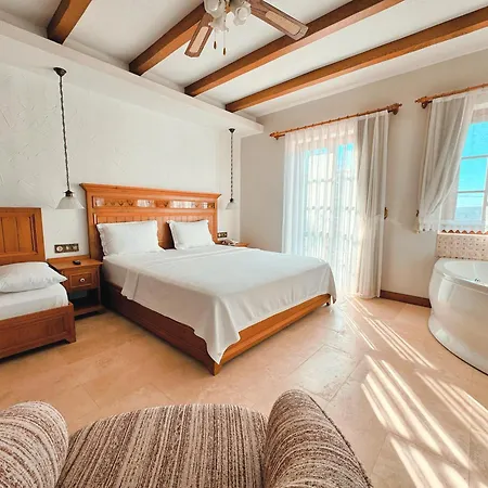 Dilek Hanim Konagi 4*