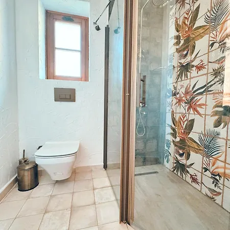 לינה וארוחת בוקר Dilek Hanim Konagi