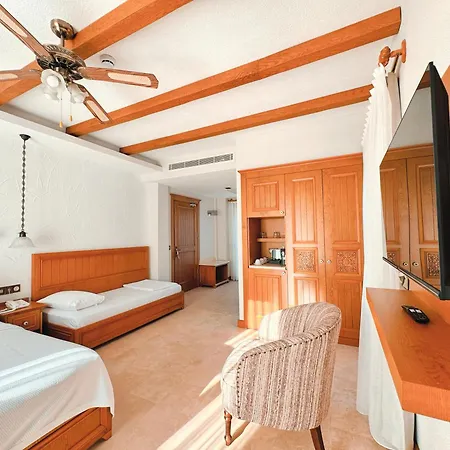 住宿加早餐酒店 Dilek Hanim Konagi