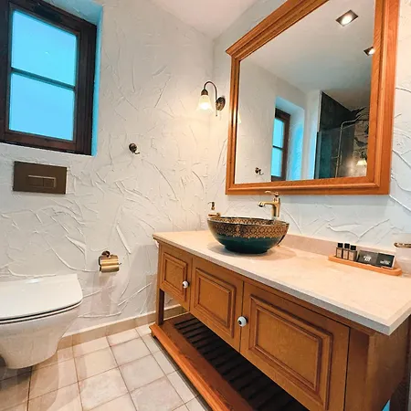 住宿加早餐酒店 Dilek Hanim Konagi 达特恰