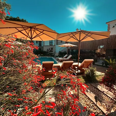 住宿加早餐酒店 Dilek Hanim Konagi 4*