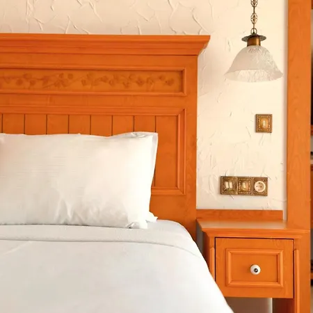 住宿加早餐酒店 Dilek Hanim Konagi 4*