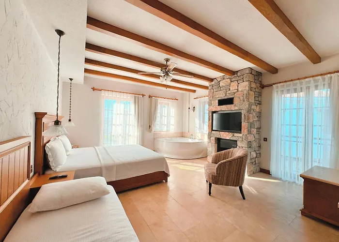 Dilek Hanim Konagi 4*