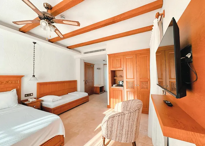 Bed and breakfast Dilek Hanim Konagi