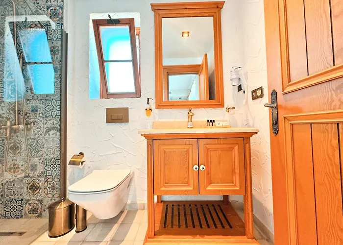 Dilek Hanim Konagi 4* דטקה