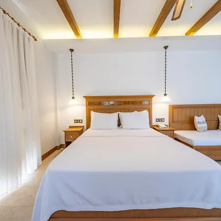 Bed & Breakfast Dilek Hanim Konagi