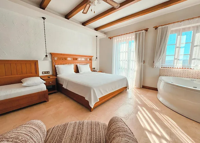 Dilek Hanim Konagi 4*