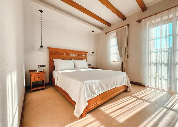 Bed & Breakfast Dilek Hanim Konagi 4*